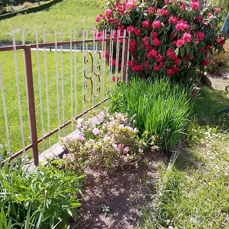 Casa Lino Apartmán Premia